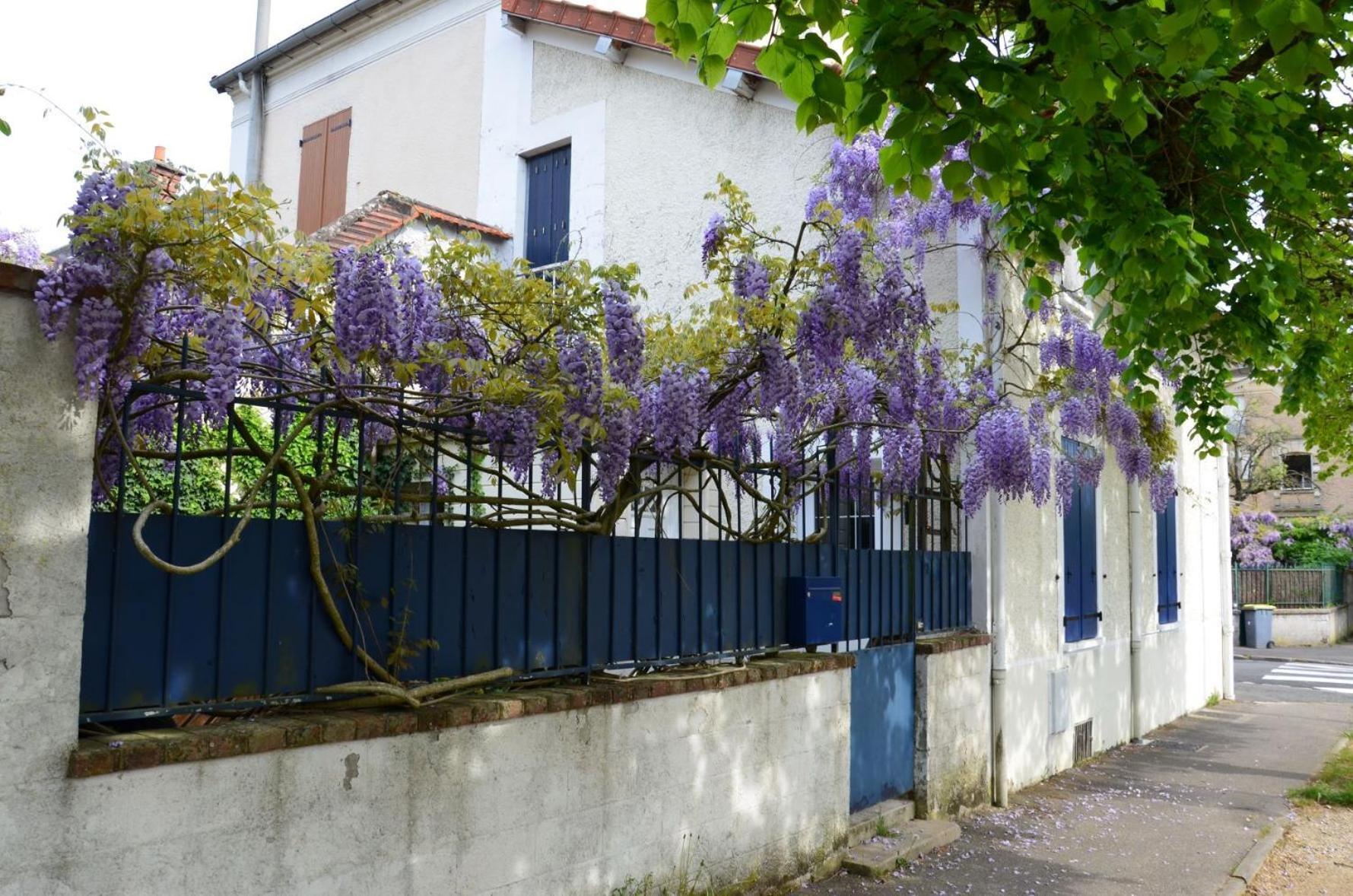 Bleautiful "Eugenie" Charmante Maison De Ville Fontainebleau Zewnętrze zdjęcie